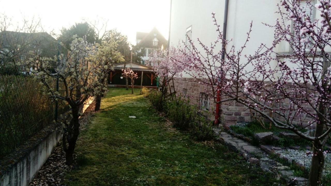 Gite "La Baloise" Colmar Exterior photo
